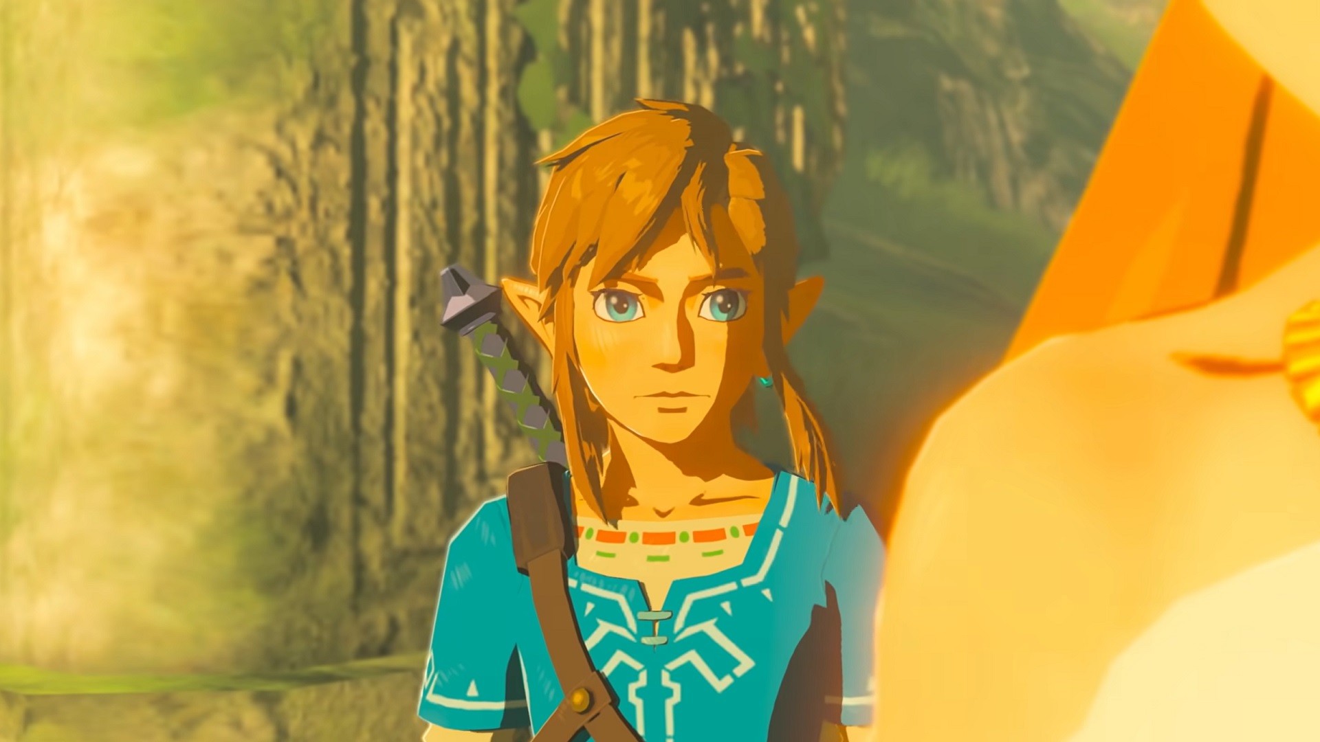Link au visage impassible, l’épée dans le dos, lors d’une cinématique