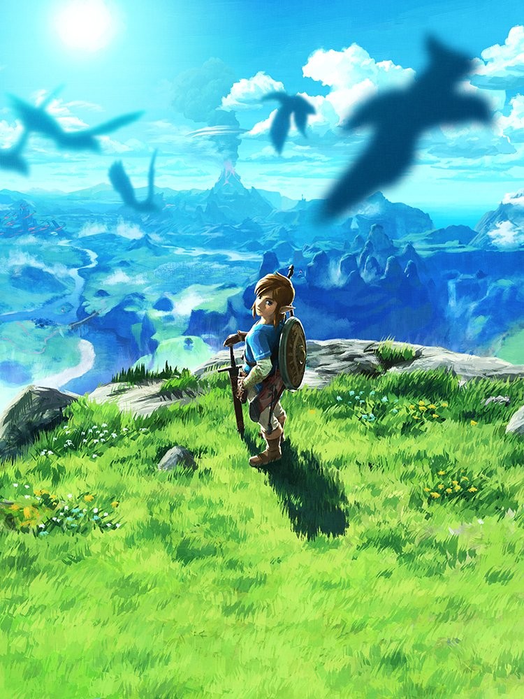 Jaquette de Breath of the Wild&nbsp;: Link, épée et bouclier, contemple Hyrule depuis une colline