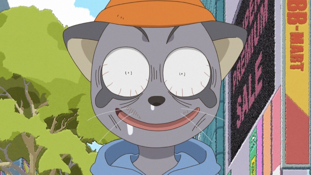 Un chat gris au bob orange, les yeux exorbités et le sourire inquiétant
