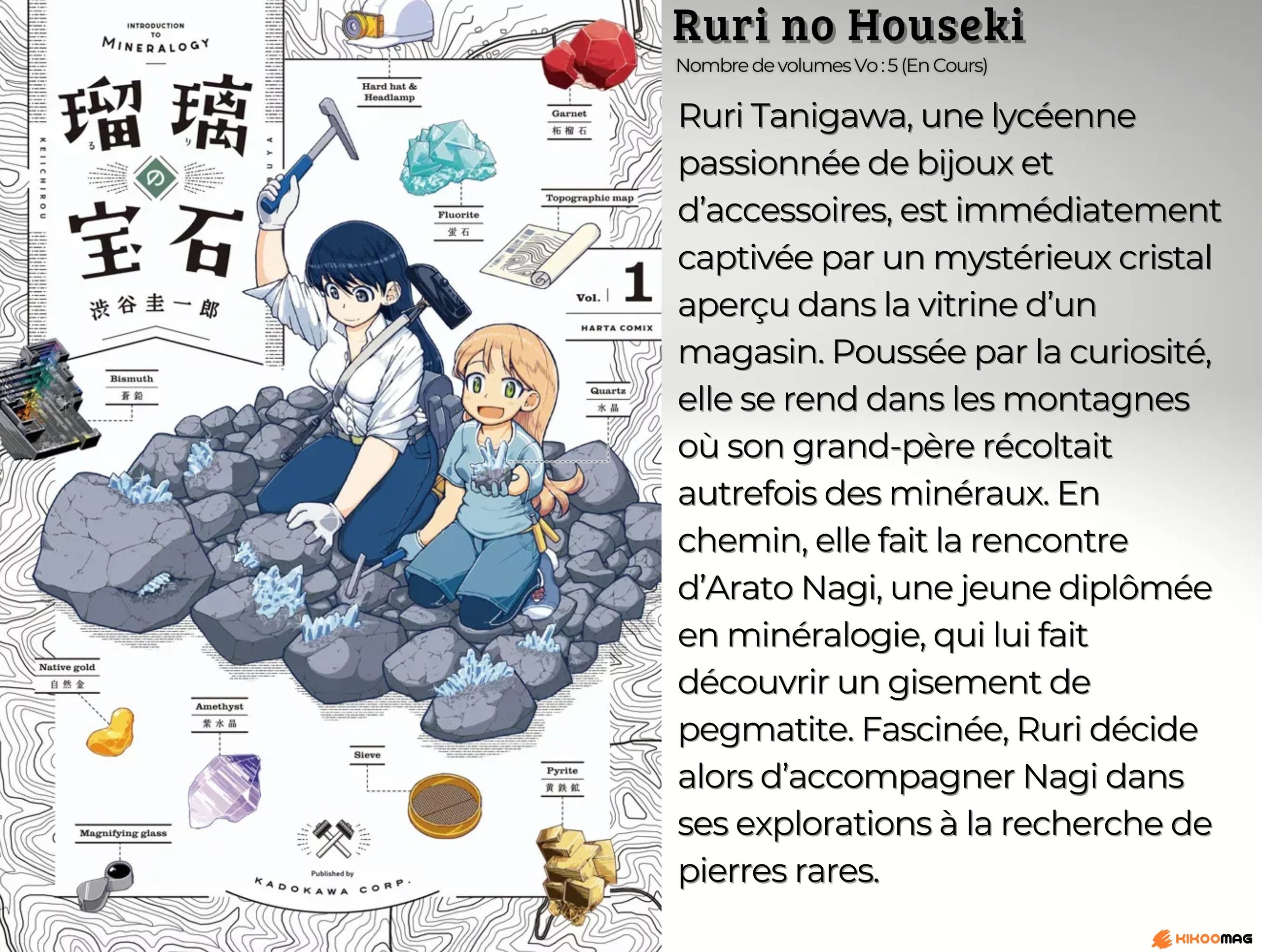 Fiche de Ruri no Houseki, couverture japonaise du tome 1 avec deux jeunes femmes et des minéraux, et résumé