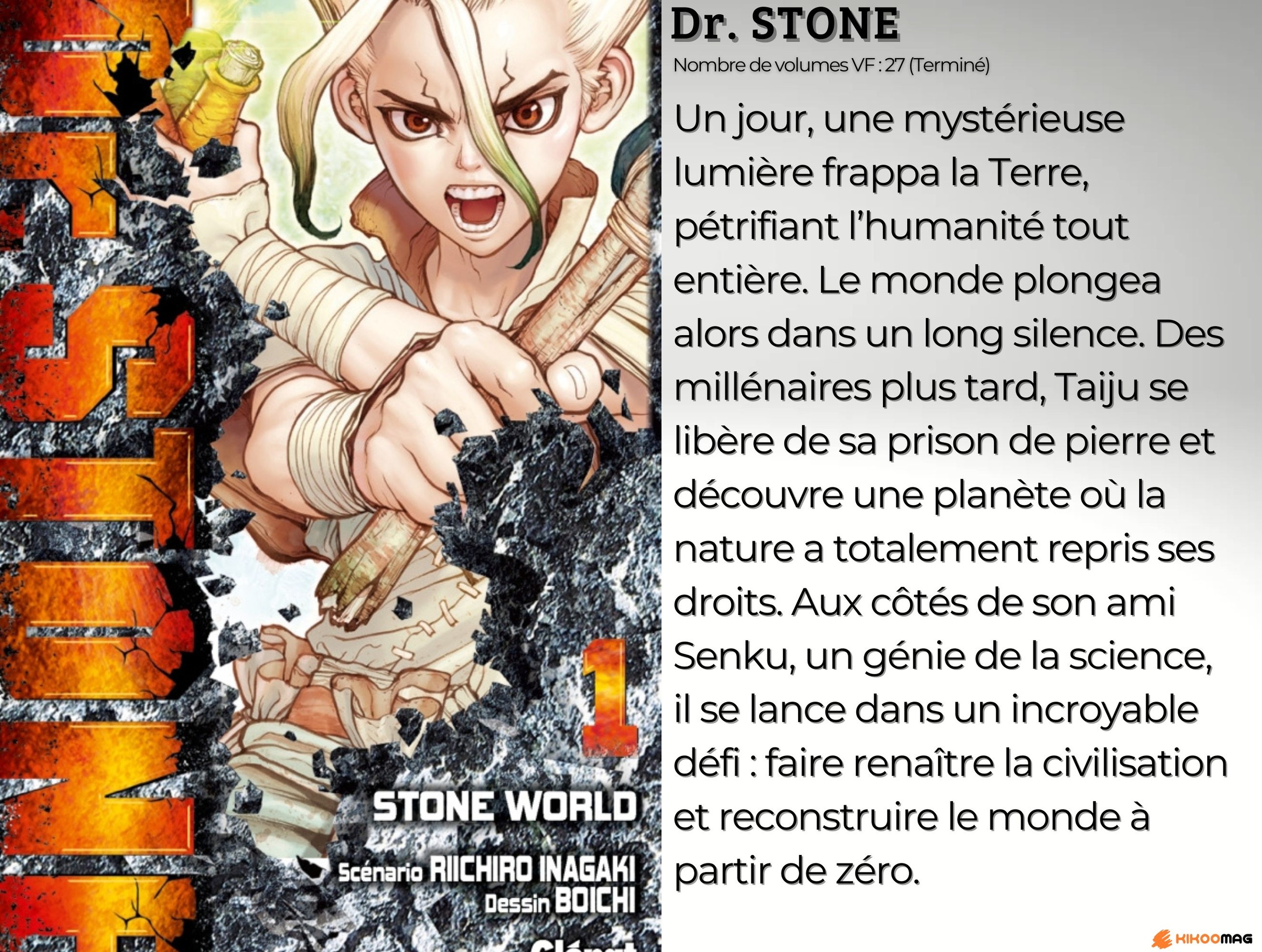 Fiche de Dr. Stone, couverture du tome 1 avec Senku brisant la pierre, et résumé de l’histoire