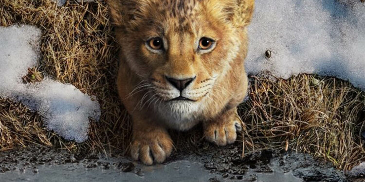 Mufasa : Le Roi Lion dévoile une première bande-annonce